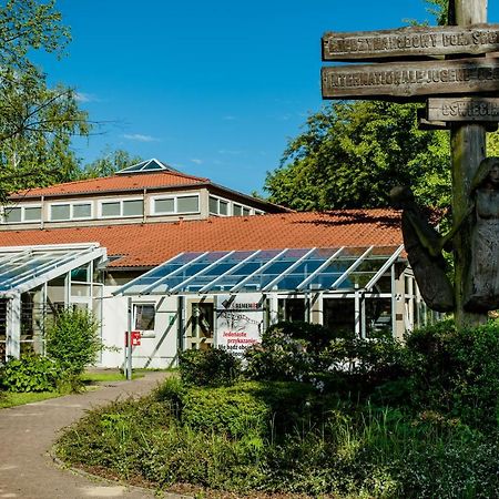 Miedzynarodowy Dom Spotkan Mlodziezy W Oswiecimiu Экстерьер фото